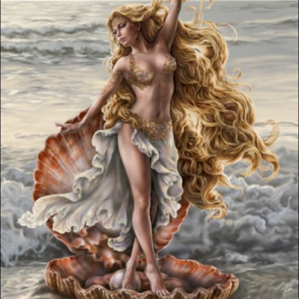 Meet your Posher, Elizabeth